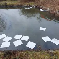 338455952_731421231792506_865375005871197956_n.jpg