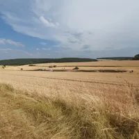 flachenbrand_heimberg_2.jpg