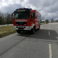 olspur_94_1.jpg